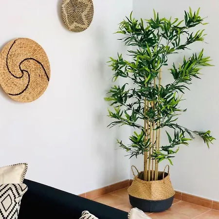 Canaryislandshost L Lovely Lanzarote Nazaret